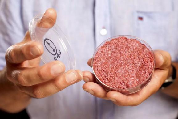 基于草叶子制成的人造肉，你会想尝尝吗？